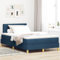 vidaXL Boxspringbett mit Matratze Blau Polsterung 120X200 cm Modernes Design Stoff für Erwachsene Stabile Holzbeine Einfache Montage und bequemer Topper mit Knopf-gemustertem Kopfteil Atmungsaktiv