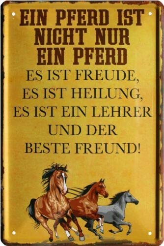 WOGEKA ART Retro Blechschild - EIN Pferd ist Nicht nur EIN Pferd - witziger Spruch als Geschenk-Idee zum Geburtstag Weihnachten zur Dekoration 20x30 cm Vintage-Design aus Metall 674