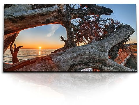 Paul Sinus Kunstdruck Bilder 120x60cm Altes Treibholz Sonnenuntergang Meer Strand Baumstamm