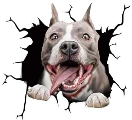 Pit Bull Hund Lustig Autoaufkleber, 3D Zerrissener Effekt, Wasserfester Vinyl-Aufkleber für Auto, Stoßstange, Fenster, Kühlschrank (22cm/8.7 Inch)