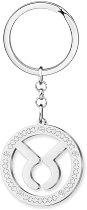 LONYOO Cadeaux Astrologie pour Femmes Filles Acier inoxydable Signes du Zodiaque Porte-clés Accessoires Constellation Cadeaux Horoscope Zodiaque Charms