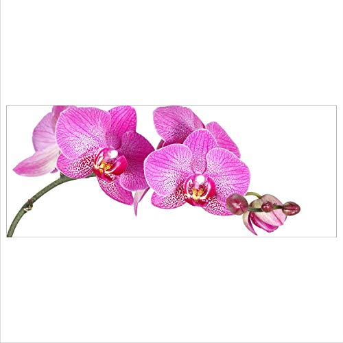 decorwelt Glasbild 125x50 XL Orchidee Pink Panorama Wandbild Glasbilder Modern Deko Glas