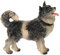 Hund Grödnertal Holz für Krippe Rainell 11cm