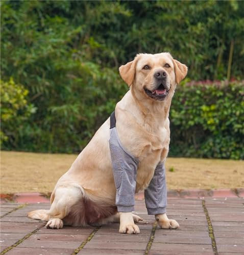 Taicols Chien Manchon de Récupération pour Patte Avant Protège-coude pour De Chien Chiens Support Chien Coude Protecteur Joint Protecteur de Jambe pour Chien Protection