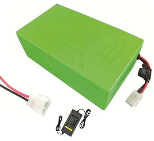HJGHY 48v 12.5ah, 48V 10Ah 12,5Ah 15Ah Akku für Elektrofahrräder, 48-Volt-Lithium-Ionen-Akkupack für 0-750W Elektrofahrrad- und Rollermotoren mit BMS-Platine und Ladegerät