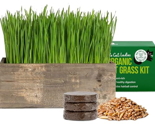 The Cat Ladies Cat Grass Kit Complete with Rustic Wood Planter, Organic Seed and Soil. Easy to Grow - Great for Indoor or Outdoor Cat, Dogs and Other Pets. Prevent Hairballs and Aid Digestion