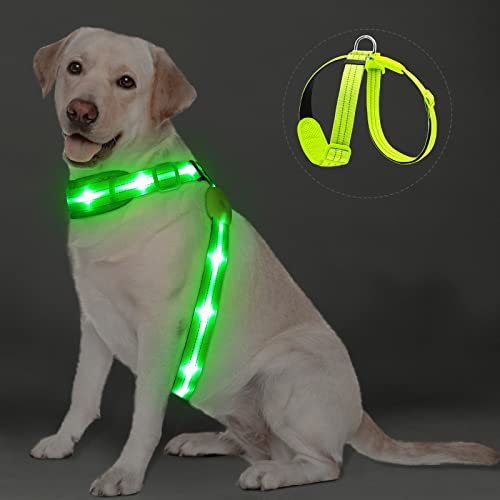 PZRLit LED Hundegeschirr Leuchtend für Hunde, Leuchtgeschirr Hundeweste Wiederaufladbar, Weich Gepolstert, Verstellbar und Reflektierend, Beleuchtetes Hundegeschirr (Grün)