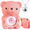 Ours Rose Éternelle avec Collier « I Love You » - Boîte Cadeau pour Femme - Fleurs préservées - Cadeau d'anniversaire pour Femme, Petite Amie, mère, Femme, Noël (Rose)