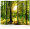 murando Akusticher Raumteiler Wald Foto Paravent 225x172 cm beidseitig auf Vlies-Leinwand bedruckt Akustikschaum Trennwand Spanische Wand Sichtschutz Home Office Bäume Natur Botanik Sonne b-B-0383-z-c