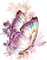 DCIDBEI Square Drill 5D DIY Diamond Painting Kits Full Diamond Schmetterling 40x50cm Stickerei Crystal Strass Diamant Mosaik Eckige Steine Diamant Malerei Basteln Erwachsene Set für Wohnzimmer Dekor