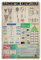 Badminton-Ausrüstung, Anatomie-Poster, Metall-Blechschild, Kunst, Wandtafel, Dekor, Vintage-Retro-Schild, Eisenmalerei, Aluminiumschild für Heimdekoration, Bar, Geschäft, Männerhöhle, Outdoor, Garage,