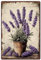 SUPERDANT Lavendel Metallschild Garten Lavendel Blechschild Lavendel Blechschilder Plakette Blumen Retro Schilder Für Garten Schlafzimmer Wohnzimmer Männerhöhle Wanddekor