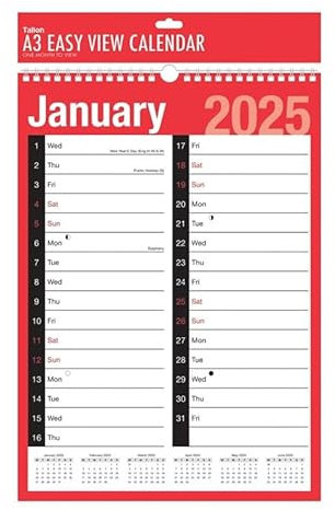 Kalender für 2021, mit Spiralbindung, Spiralbindung, 2 Spalten, A3, 1 Monat, dickes und umweltfreundliches reines Papier