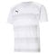 PUMA Herren Teamvision Jersey Shirt, Puma White-glacier Gray-puma Black, XL EU