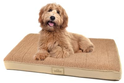 Doghouse Premium orthopädisches Hundebett kleine Hunde 77x51x9cm Hundematte Waschbar, Hundekissen flauschig, Hundematratze für kleine Hunde in Beige