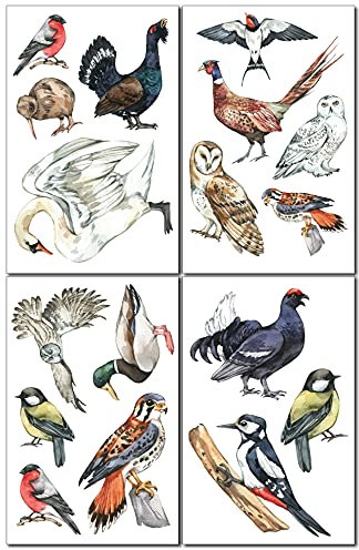 Samunshi® Wandtattoo Heimische Vögel Set Wandbilder Kinderzimmer Deko Junge Wandtattoo Kinderzimmer Mädchen Wandsticker Kinderzimmer