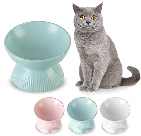 Gamelle Chat Surélevée en Ceramique - Bol Chat Sureleve Incline Anti Vomissement - Gamelle pour Grand Chat - Gamelles pour Chats Porcelaine - Bol de Nourriture pour Chat - Écuelle pour Chat - 260 ML