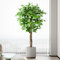 Keeplush 5ft Ficus Artificial Trees with Natural Curved Trunks, 150cm Tall Artificial Plants Tree for Indoor, Fake Ficus Tree Green Lifelike Home Decor