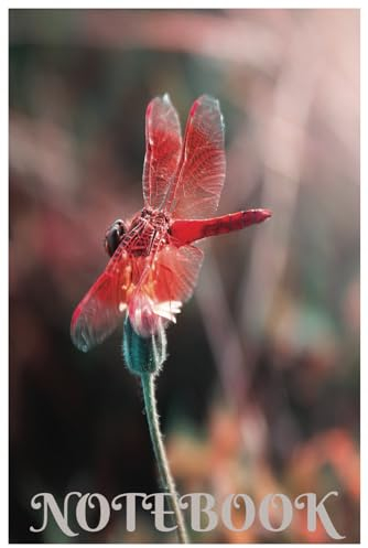 Notebook: A notebook for dragonfly lovers