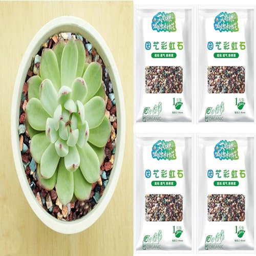 2 Kg Cailloux Bonsai, Mélange De Pierres De Lave Horticole Galets De Pierre Ponce pour Cactus, Gravier Décoratif pour Le Drainage DesPlantes Roche Volcanique pour Terrarium