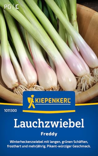 Kiepenkerl Lauchzwiebelsamen Freddy 1011300, Gemüsesaat | Gemüsesamen für Winterheckenzwiebeln, Inhalt für 4-6 laufende Meter, aromatisch, mehrjährig
