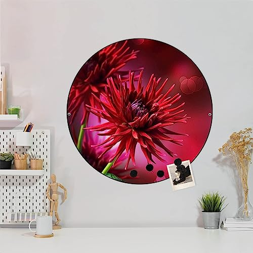banjado® Design Magnettafel rund Größe Ø 47cm mit Motiv Rote Dahlien - magnetische Pinnwand/Magnettafel aus Metall/Memoboard für Küche, Büro & Kinderzimmer mit Magneten & Montageset