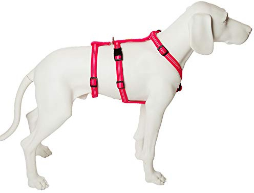 Feltmann No Exit ausbruchsicheres Hundegeschirr für Angsthund, Sicherheitsgeschirr für Pflegehunde, Panikgeschirr, Super Soft, pink, Bauchumfang 50-65 cm, 20 mm Bandbreite