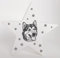 Bambinella® LED Leuchte Nachlicht Husky - Deko - 11,5cm x 4cm x 11cm
