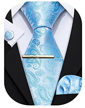 Barry.Wang Herren Krawatte Einfarbig Paisley Uni Schlips Satin Mit Einstecktuch Hochzeit Krawattenset