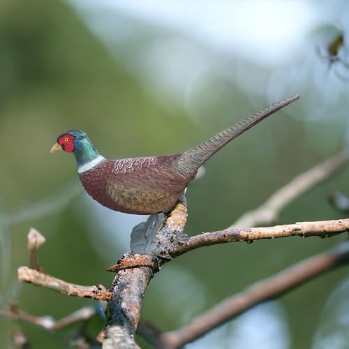 GMM Gartenfiguren, Gartenfiguren, Gartenfiguren, Gartenfiguren, Gartenfiguren, verschiedene Modelle (Fagian)