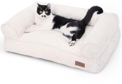 FUKUMARU Katzensofa Bett, Corduroy Gemütliches Katzenbett für drinnen mit abnehmbarem waschbarem Bezug, Stützendes Anti-Rutsch Hundebett Sofa für kleine Hunde, 72 x 52 x 22 cm, Mittel, Creme