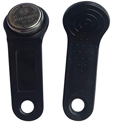 DS1990A F5 iButton I-Button Clé électronique IB TAG (Noir, Lot de 100)