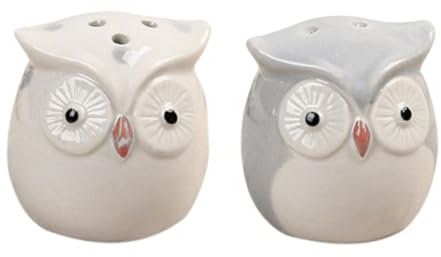 LABRIMP 2stücke Keramik Eulen Vorratsdose Gewürzdose Keramik Eulen Gewürzflasche Zur Aufbewahrung Von Küchengewürzen Für Familie Restaurant Und Küche