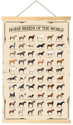EIHFHIE Pferde-Geschenke für Mädchen, Pferde-Poster, Pferdewissen, Pferderassen der Welt, Wanddekoration, Geschenke für Pferdeliebhaber, 40,6 x 63,5 cm