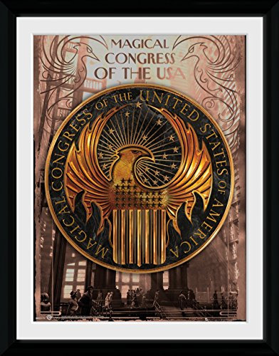 Fantastische Beasts Magical Kongress Gerahmter Fotodruck, 30 x 40 cm