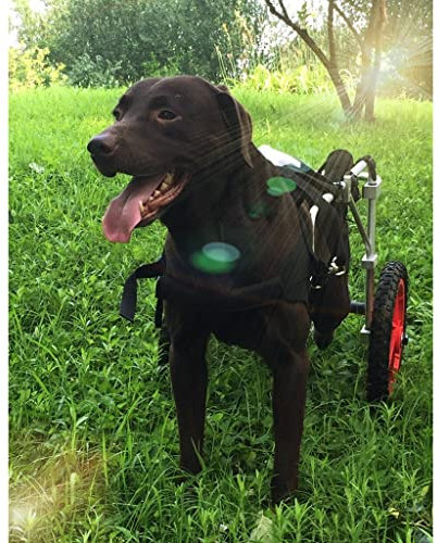 DAMOIFFP Hunderollstuhl, Haustierwagen, Rollstuhl für Hunde, Hunderollstuhl für die Hinterbeine, große Premium-Laufräder, Rehabilitation der Hinterbeine, Haustierbedarf, Help Em Up-Geschirr