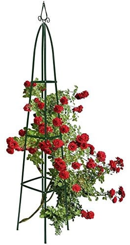 BAKAJI Supporto Per Piante Rampicanti Obelisco Arco Da Giardino Forma Piramide Altezza 2 Metri Colore Verde Scuro