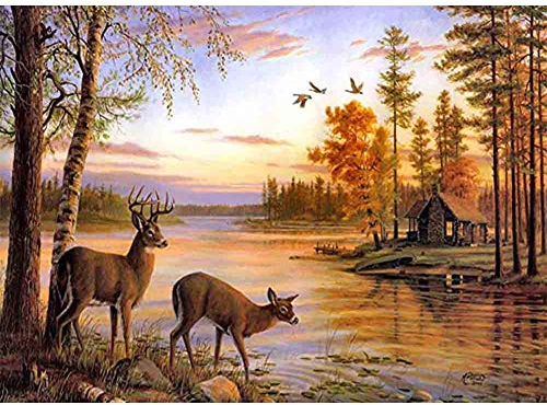 5D Diamond Painting Diamant Malerei Painting Bilder, Wowdecor Hirsch Elch See Baum Sonnenuntergang Landschaft Tiere Full Set Groß DIY Diamant Gemälde Malen Nach Zahlen
