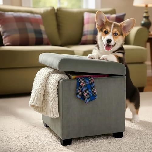 Froppi Foot Stool, Ottoman Storage Box, 45x45x41 cm, 47L (Storm Grey) | Pre-Assembled, Removable Feet, Large Capacity, Sturdy Frame, Memory Foam Seat, Living Room, Footstool