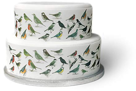 Top That Edible Decor Sheet British Garden Birds Wildlife themed Border Ribbon - Perfect for Decorating Your Cakes- Easy to Use