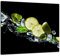 TMK Crédence de cuisine, protection anti-éclaboussures, en verre trempé, 65 x 60 cm, verre décoratif avec ruban adhésif autocollant, paroi arrière en verre, eau, citron