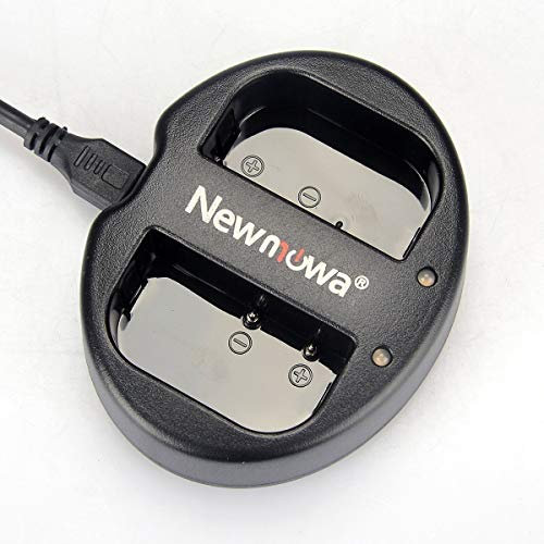 Newmowa Double USB Chargeur pour Panasonic DMW-BLF19 et Panasonic DMC-GH3,DMC-GH4 DMC-GH5, DC-GH5S