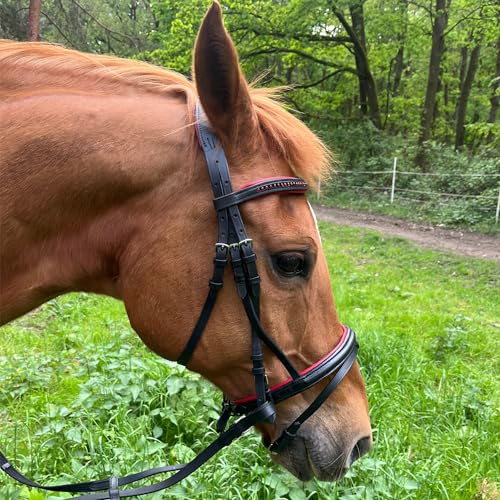 Brama West Ledertrense Pferd Sparkle - englisch kombiniert - Reithalfter mit Antislip Zügel und Strasssteinen - Rot, Gr. Cob