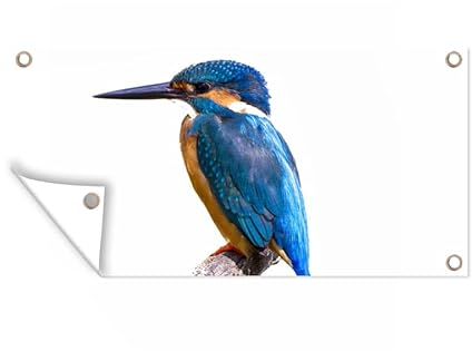MuchoWow Outdoor-Poster Poster Wanddeko draußen Deko Garten Gartenposter 160x80 cm Eisvogel - Federn - Zweig - Blau