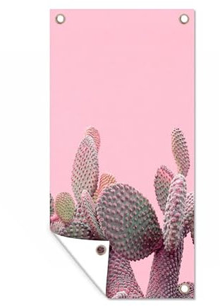 MuchoWow Outdoor-Poster Poster Wanddeko draußen Deko Garten Gartenposter 30x60 cm Kaktus - Pflanzen - Sommer