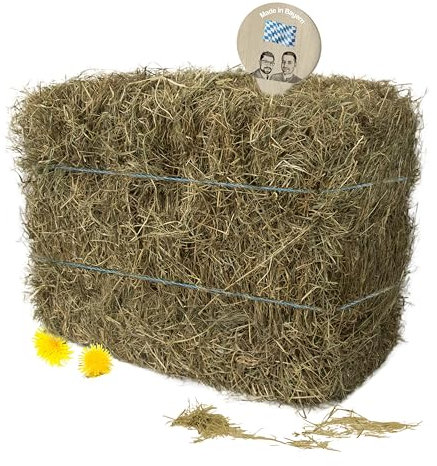 Gebrüder Goller - 10 kg Heuballen - Kaninchen Heu für Meerschweinchen, Hamster und Hasen - Wiesenheu als Kleintierheu, auch geeignet als Deko Heu für Heu Deko - Heu Ballen direkt aus Bayern