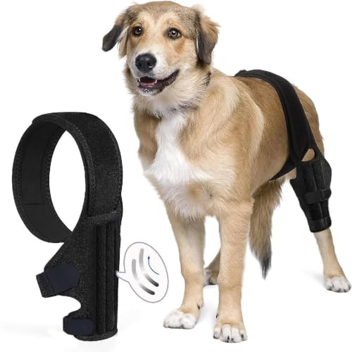 Kniebandage Hund Hinterbein Ellenbogenbandage Hund Hunderollstuhl Hinterbeine & Lahmheit - Medizinische Kompressionsbandage mit Silikon-Grip (Atmungsaktiv, waschbar) - Für alle Rassen (L)