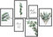 Premium Poster Set | Deko Bilder Wohnzimmer Modern | Schlafzimmer Bild für die Wand | (Eukalyptus, A3 | A4)