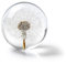 In Flore Dandelion Briefbeschwerer aus Harzglas, mit echtem Löwenzahn, 8 cm, weiß