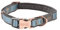 Rogz Urban Hundehalsband, klein, Türkis